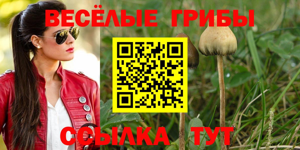 купить наркотик  Вход с VPN  Южноуральск  Галлюциногенные грибы MAGIC MUSHROOMS 